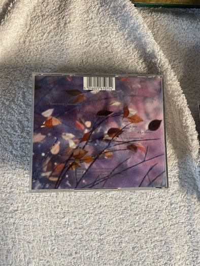 Erasure wild cd
