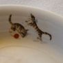 Vintage 'jack and jill' bowl Image 4