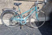 Old racer  needs fixing