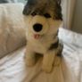 Wolf Teddy Bear Image 2