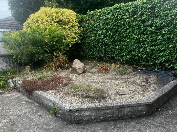 Plants rockery rock and decorative stones