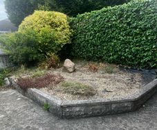 Plants rockery rock and decorative stones
