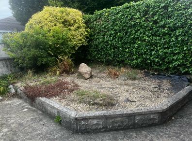 Plants rockery rock and decorative stones