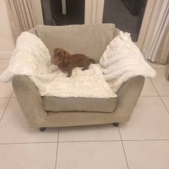 Armchair