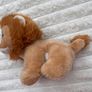 Ty Beanie Boo Lion Louie Plush Soft approx. 15 cm. Used Please see photos Image 7