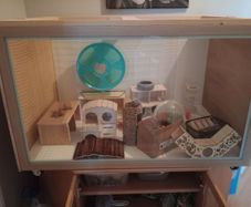 hamster enclosure