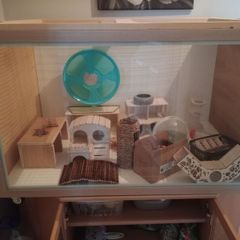hamster enclosure