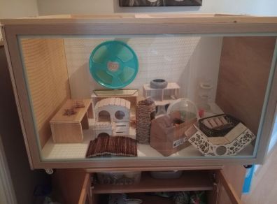 hamster enclosure
