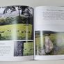 Sacred Messages from Sacred Ireland - Irish Spirituality Book - Irish Photography Book Image 3