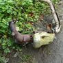 Nissan micra 03 1.0 most parts available Image 5