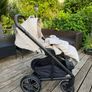 Buggy Image 9