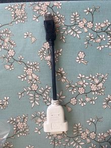 BIZLINK Dell Display Port to DVI0D Adapter Cable