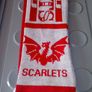 Munster Rugby vs Scarlets Scarf Image 3