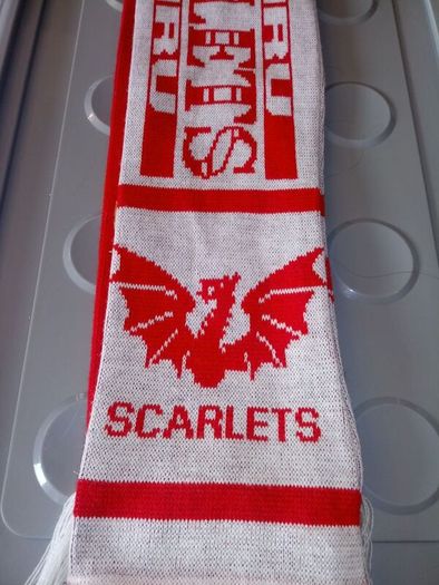 Munster Rugby vs Scarlets Scarf