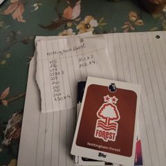 Nottingham forest premier league cards