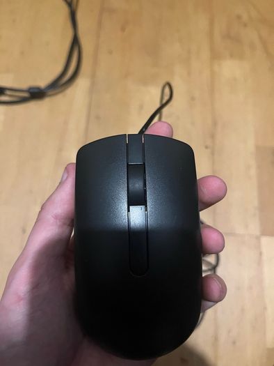 mouse