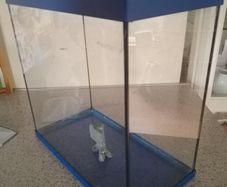 Fish Tank