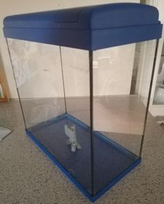Fish Tank