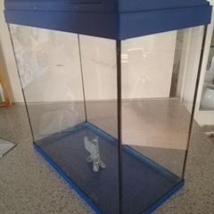Fish Tank