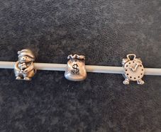 Pandora Charms Misc
