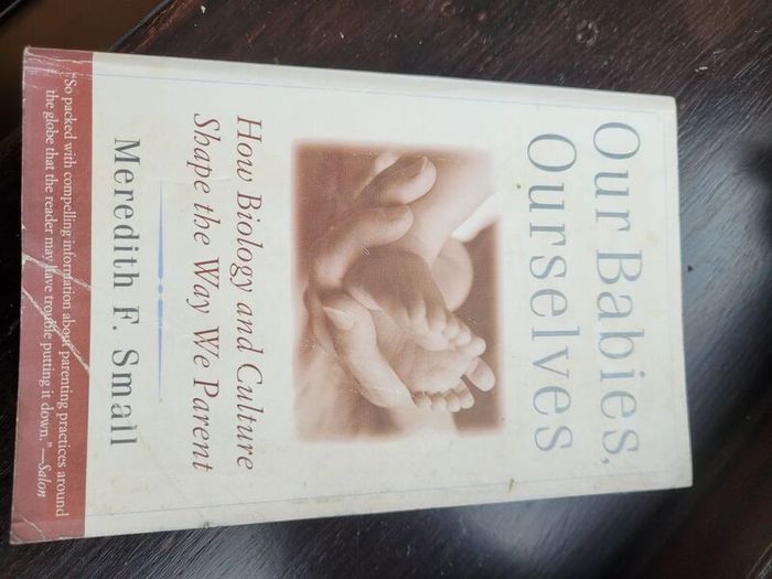 Our Babies Ourselves Book