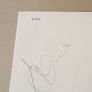 All About Eve autographed record Goth Alt New Wave Image 2