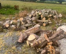 timber for sale