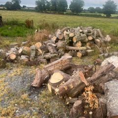 timber for sale