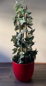 Artificial Plant