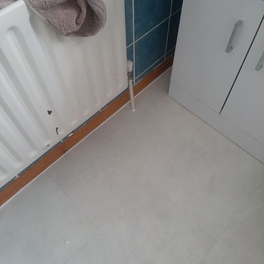 Carpenter/ property maintenance