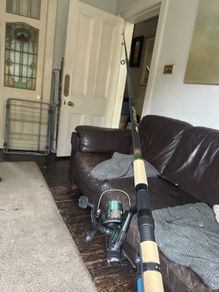 Carp rod and reel combo