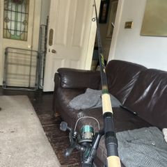 Carp rod and reel combo