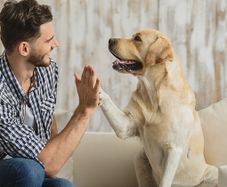 Pet Sitter