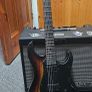 ESP LTD SN1000HT Fire Blast. EMG Demonium (Jim root) pickups Image 2