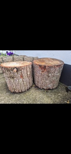 log stools x 5