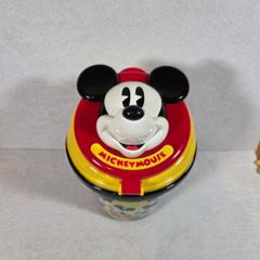 Disney popcorn bucket
