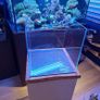 Nano fish tank, full set 64L cube optiwhite Image 5