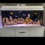 Malawi fish tank custom made (without fish and stand) Image 3