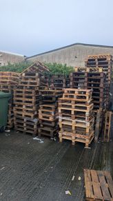 FREE PALLETS timber/Wooden Pallets FREE March 2026