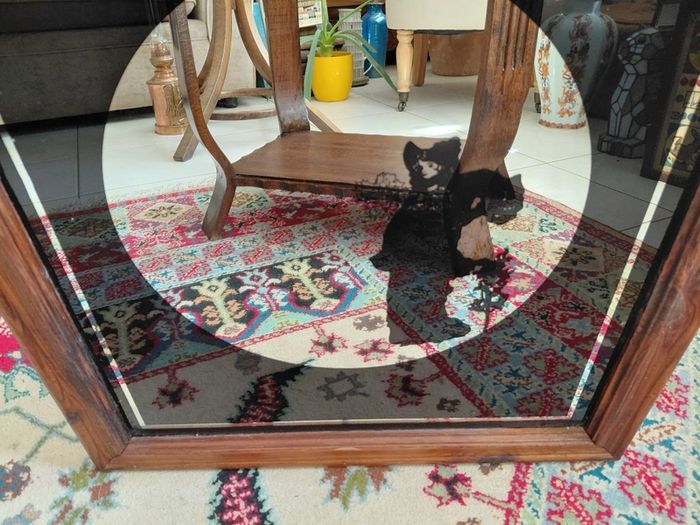 Vintage silhouette mirror lady image in black in wooden frame