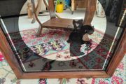 Vintage silhouette mirror lady image in black in wooden frame