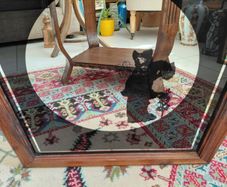 Vintage silhouette mirror lady image in black in wooden frame