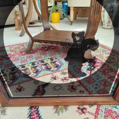 Vintage silhouette mirror lady image in black in wooden frame