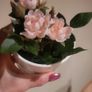 Artificial Plants in Matching Ceramic Plant Pots x3 Image 7
