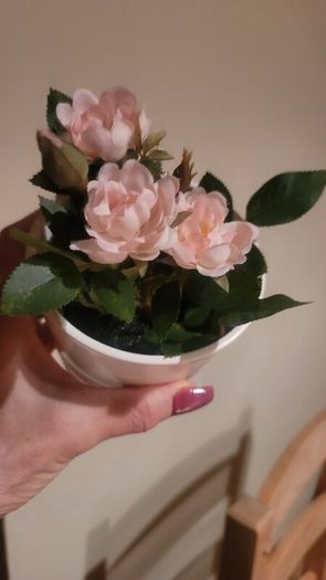 Artificial Plants in Matching Ceramic Plant Pots x3