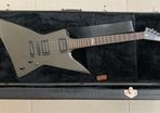 ESP LTD Explorer EX-100 guitar and flight case