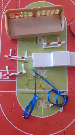 Sylvanian Race Track