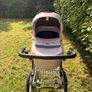 buggy Image 4