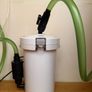 planted aquarium Image 4