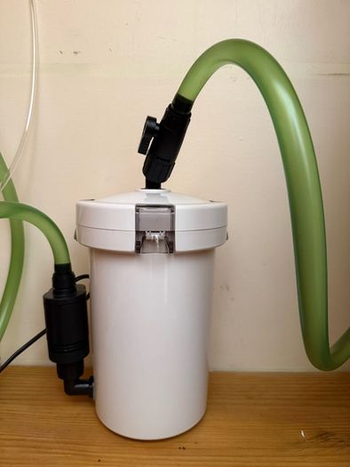 planted aquarium